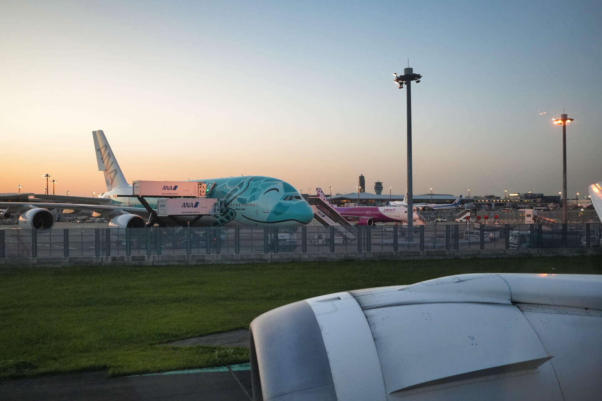 成田国際空港出発！フライングホヌ2